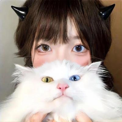 联邦调查局第四季